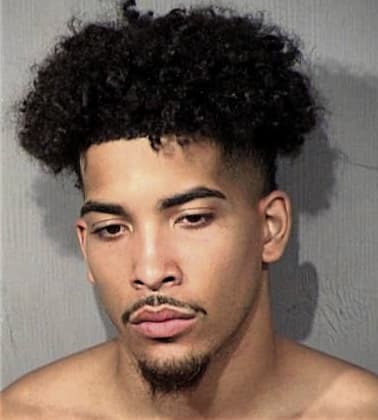 Stephen Robbins - Maricopa County, AZ 