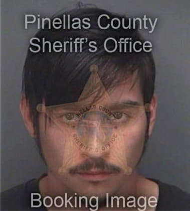 Benjamin Vanderheide, - Pinellas County, FL 