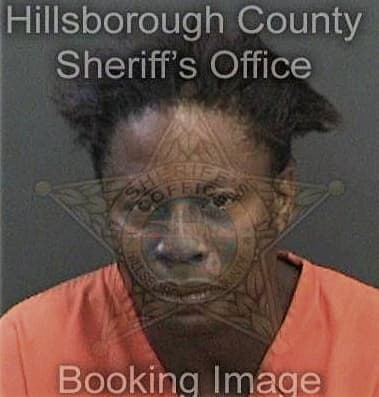 Arthur Williams - Hillsborough County, FL 