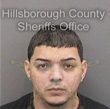 Manuel Gonzalezmendez - Hillsborough County, FL 