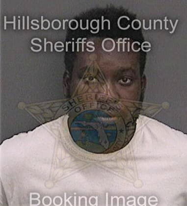 Quandarious Hammond, - Hillsborough County, FL 