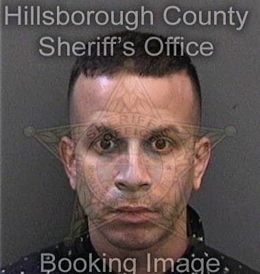 Mark Hutchinson, - Hillsborough County, FL 