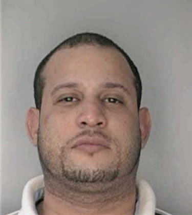 Carlos Marcela, - Hillsborough County, FL 