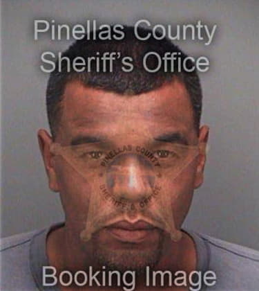 Adrian Mendozagarcia, - Pinellas County, FL 