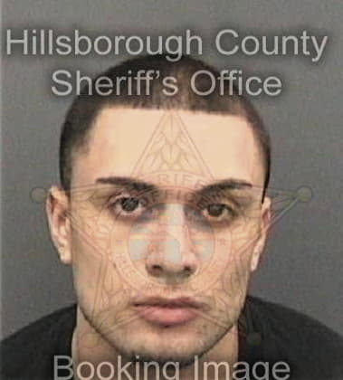 Ramon Mesa - Hillsborough County, FL 