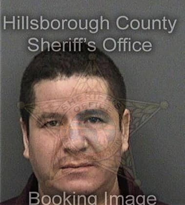 Enrique Perez-Domingo, - Hillsborough County, FL 