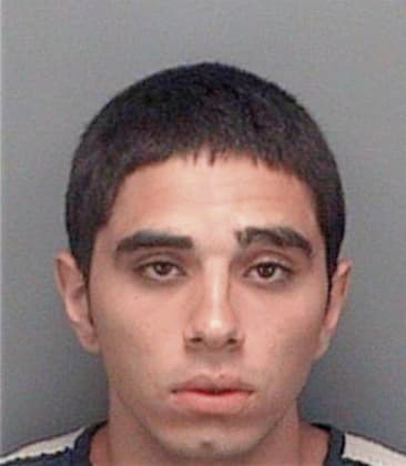 Ismael Romolopez, - Pinellas County, FL 