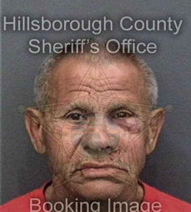 Patrick Scully, - Hillsborough County, FL 