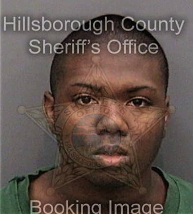 Ian Akins, - Hillsborough County, FL 