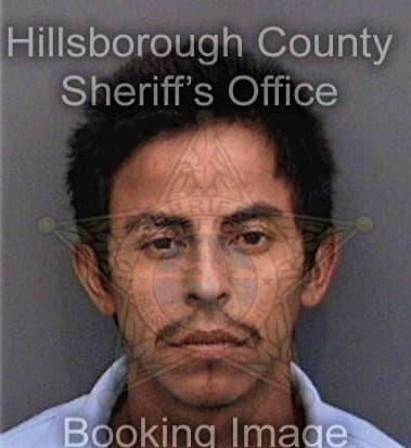 Marcos Ortegapupo, - Hillsborough County, FL 