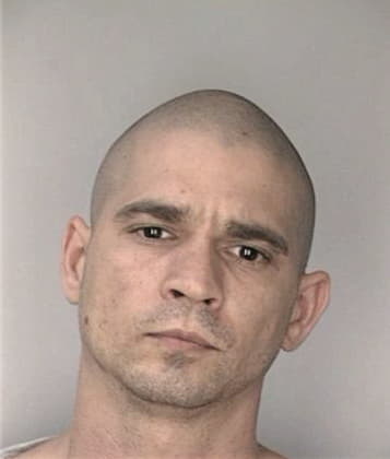 Jose Riverapantojas - Hillsborough County, FL 