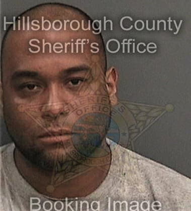 Christopher White - Hillsborough County, FL 