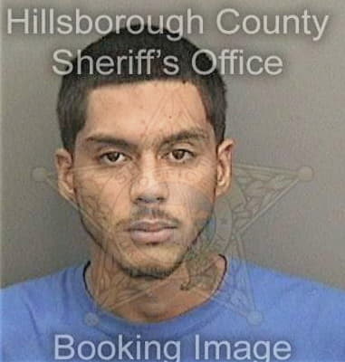 Kenneth Willis, - Hillsborough County, FL 