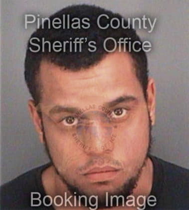 Tipu Alam, - Pinellas County, FL 