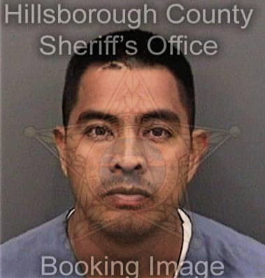 Christopher Bridges - Hillsborough County, FL 