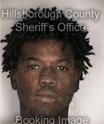 Christopher Lewis, - Hillsborough County, FL 