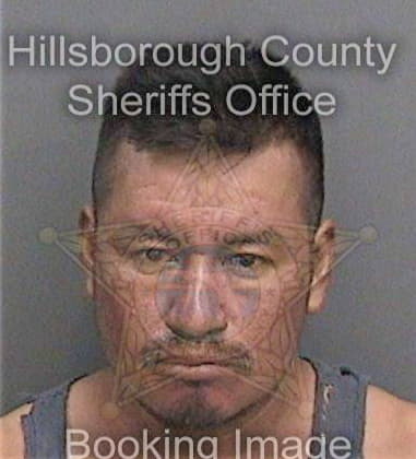 Javier Ochoa, - Hillsborough County, FL 