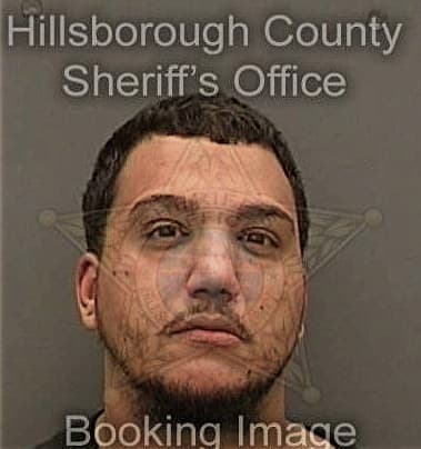 Humberto Rodriguez-Hernandez, - Hillsborough County, FL 