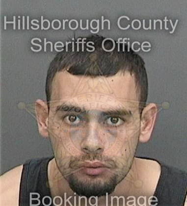 Brian Senese, - Hillsborough County, FL 