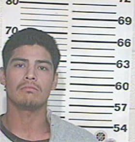 Daniel Villarreal, - Hidalgo County, TX 