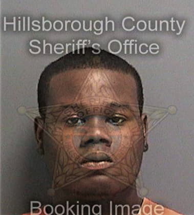 Jeffrey Allen, - Hillsborough County, FL 