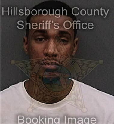 Gabriel Brown, - Hillsborough County, FL 