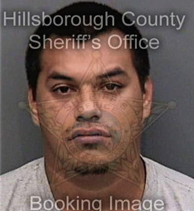 Matthew Dehnert, - Hillsborough County, FL 