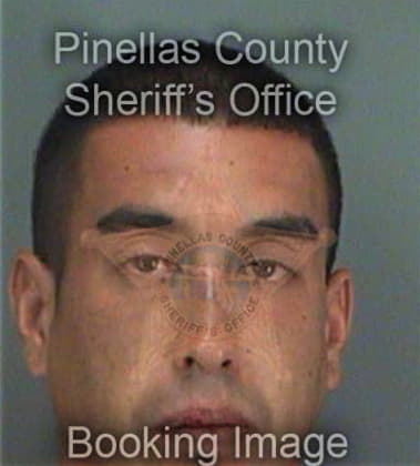 Dennis Esposit, - Pinellas County, FL 