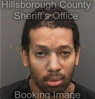 Eric Gibson, - Hillsborough County, FL 