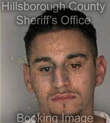 Lorenzo Guzmanvelasquez, - Hillsborough County, FL 