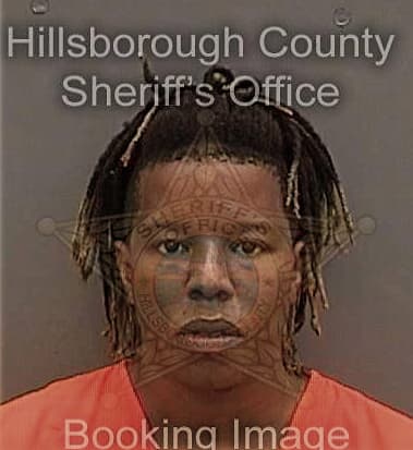 Anthony Johnson, - Hillsborough County, FL 