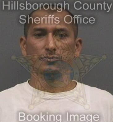 Jimmy Johnson, - Hillsborough County, FL 