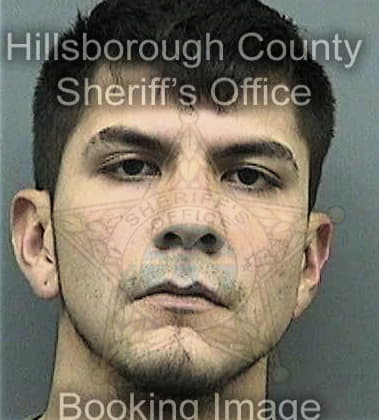 Omar Lopezfigueroa, - Hillsborough County, FL 