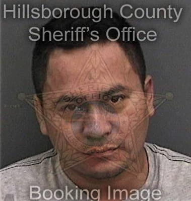 Adam Mitchell - Hillsborough County, FL 