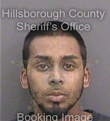 Ezequiel Peralesgomez, - Hillsborough County, FL 