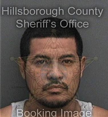 Randall Ross, - Hillsborough County, FL 