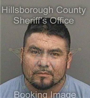 Christian Vega, - Hillsborough County, FL 