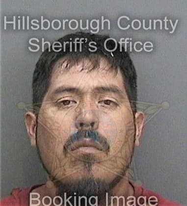 Jason Barnes, - Hillsborough County, FL 