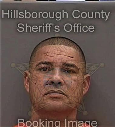 Michael Bedell, - Hillsborough County, FL 