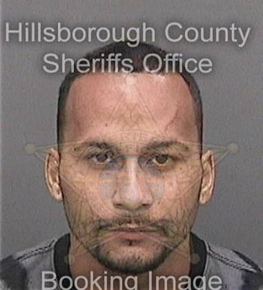 Jesse Brink - Hillsborough County, FL 