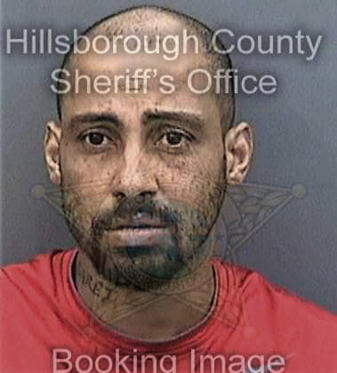 Marcos Garciasolar, - Hillsborough County, FL 