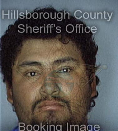 Hector Alvarez, - Hillsborough County, FL 