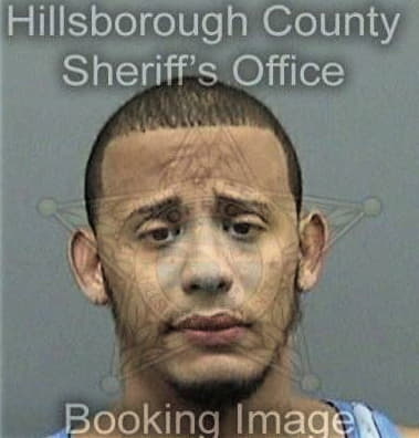 Devilin Atkinson, - Hillsborough County, FL 