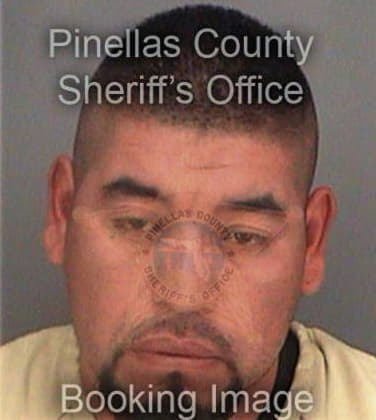 Cirilo Bencosme, - Pinellas County, FL 