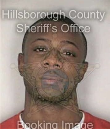 Richard Bradford - Hillsborough County, FL 