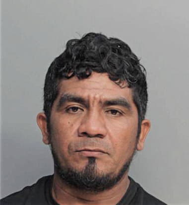 Julio Castillogonzalez, - Dade County, FL 