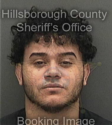 Daniel Fajardo, - Hillsborough County, FL 