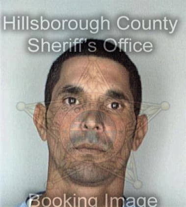 Arvey Hernandez - Hillsborough County, FL 