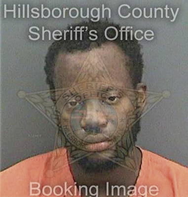 Darnell Levins, - Hillsborough County, FL 