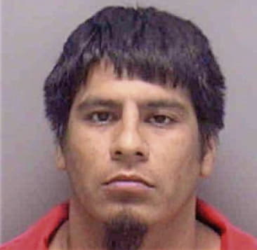 Jesus Mendoza, - Lee County, FL 